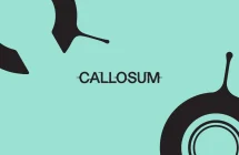 Callosum raises $100m